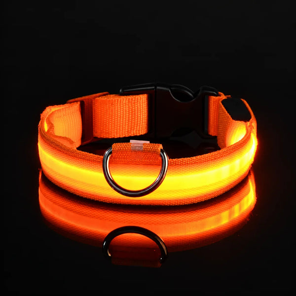 Orange / S