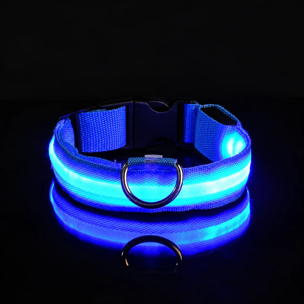 Blue / S
