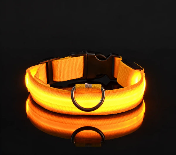 Yellow / S